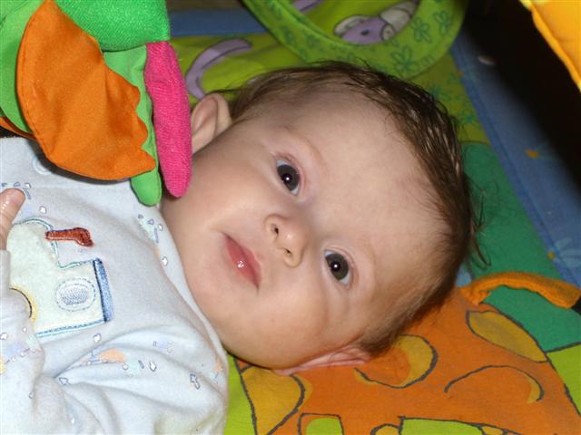 CIMG9302 (Small) (2).JPG